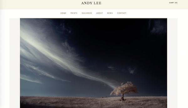 andylee co